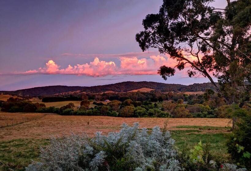 ホテル Emmasprings Retreat