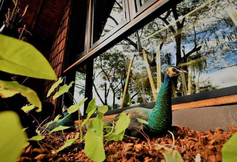 בית מלון כפרי Kenaray Farmstay Riverside