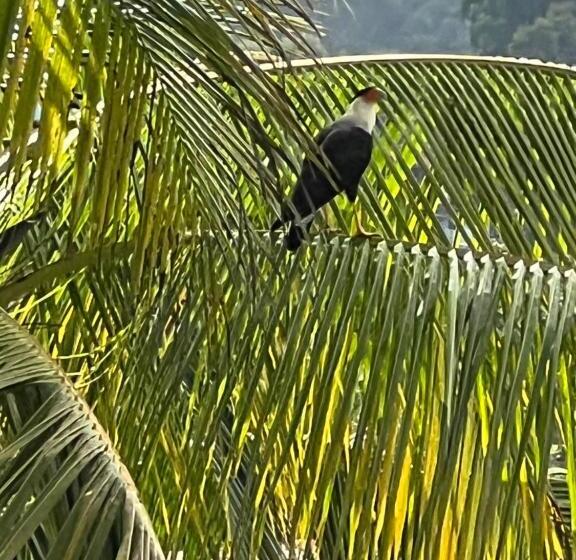 پانسیون Puesta Del Sol