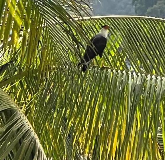 Majatalo Puesta Del Sol