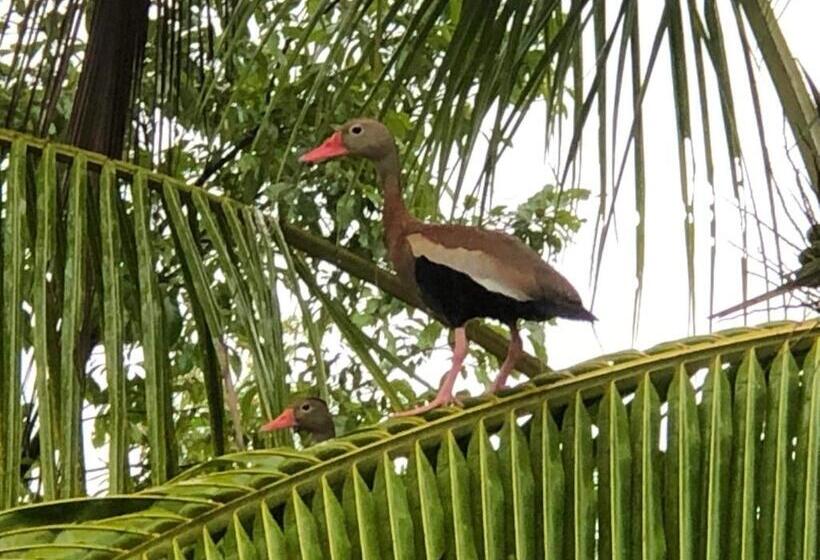 پانسیون Puesta Del Sol