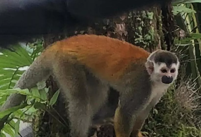 Majatalo Puesta Del Sol