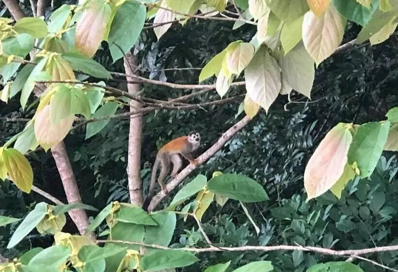 Majatalo Puesta Del Sol