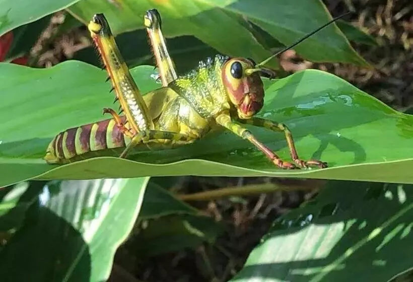 Majatalo Puesta Del Sol