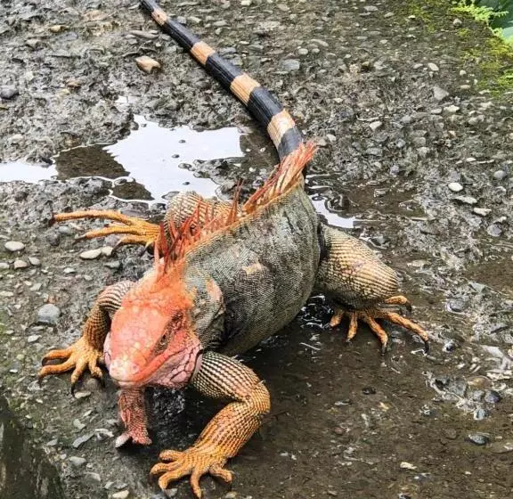 Majatalo Puesta Del Sol