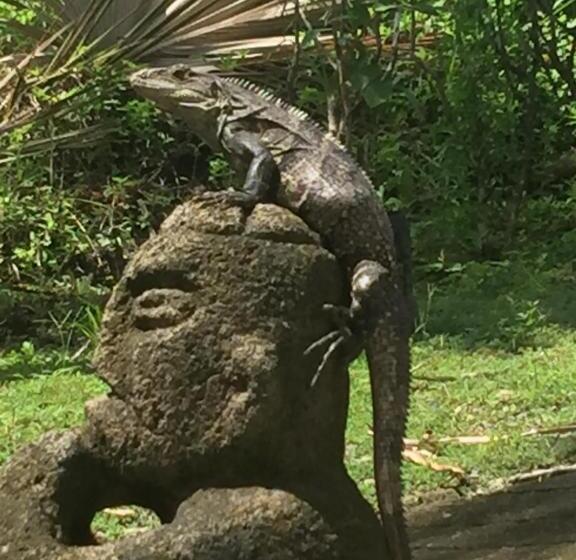 پانسیون Puesta Del Sol