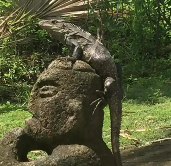 Majatalo Puesta Del Sol