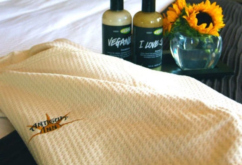 مبيت وإفطار Antigua Inn