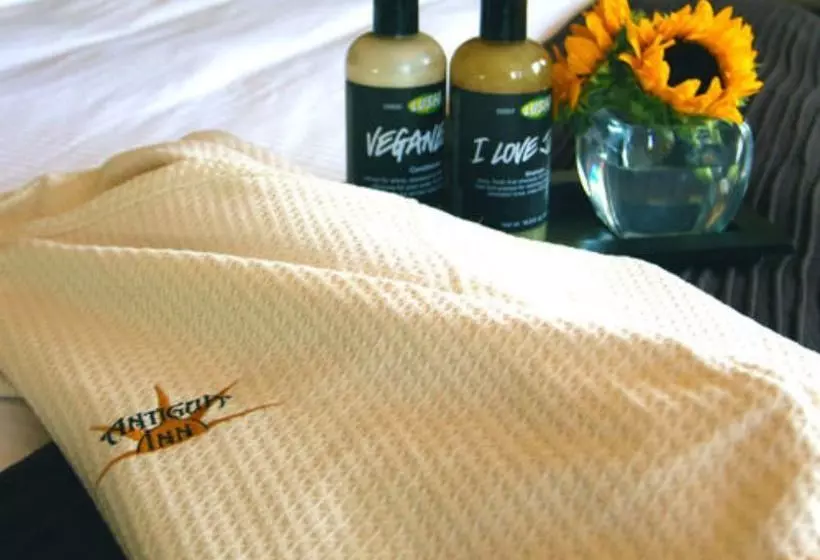 ベッドアンドブレックファースト Antigua Inn