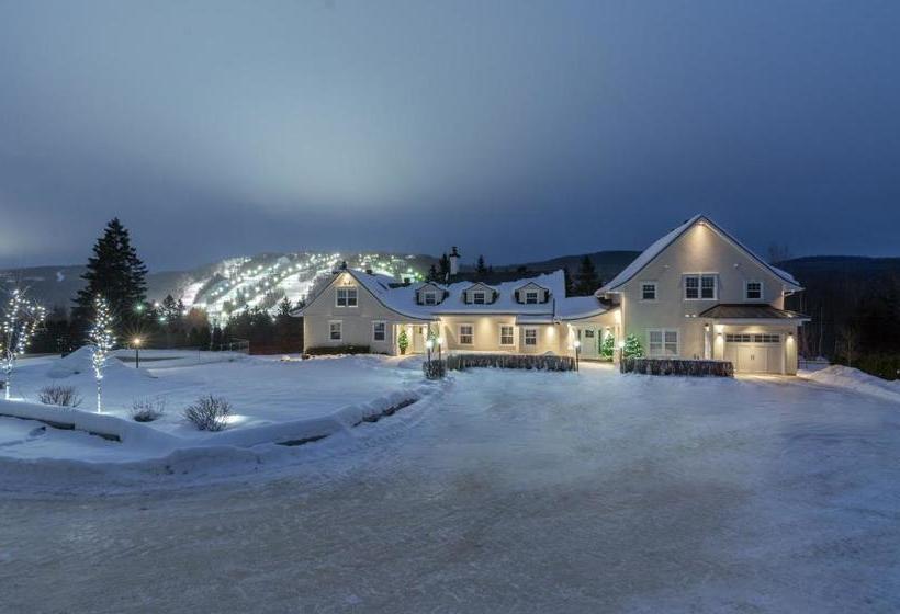 Auberge Sous L Edredon B&b