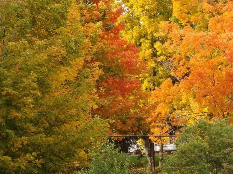 ベッドアンドブレックファースト Estabrook House