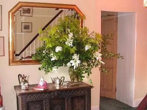 ベッドアンドブレックファースト Toomer Farm