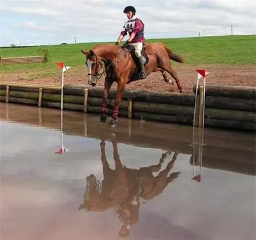 ベッドアンドブレックファースト Toomer Farm