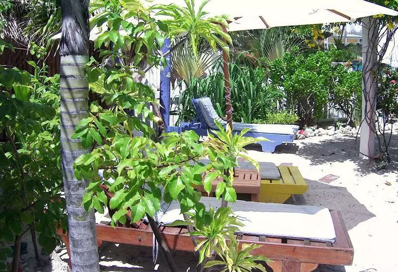 Changes In Latitudes Bed And Breakfast Inn