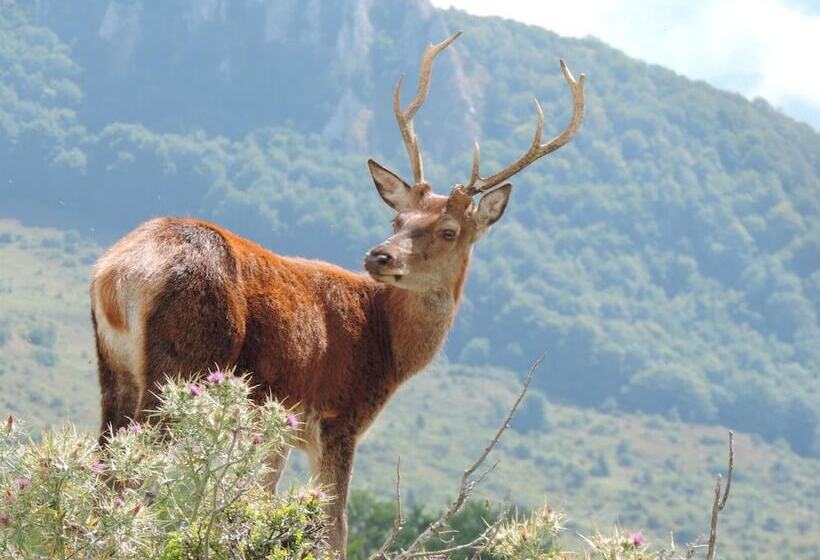 فندق Albergo Del Sole