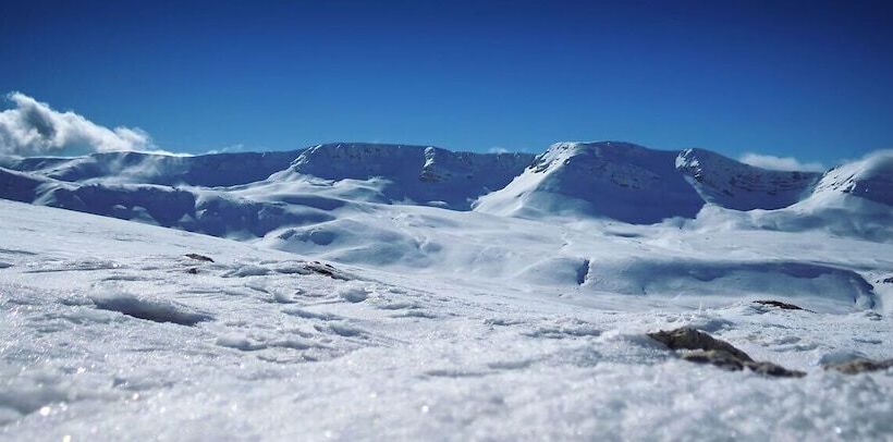 فندق Albergo Del Sole