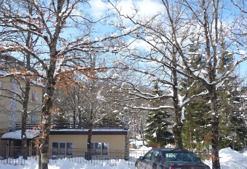 فندق Albergo Del Sole