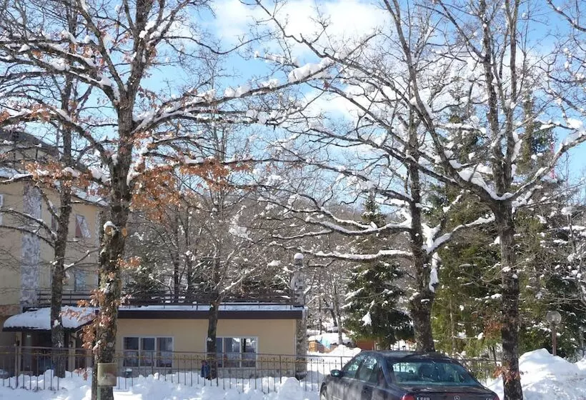 فندق Albergo Del Sole