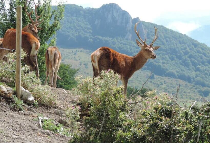 فندق Albergo Del Sole