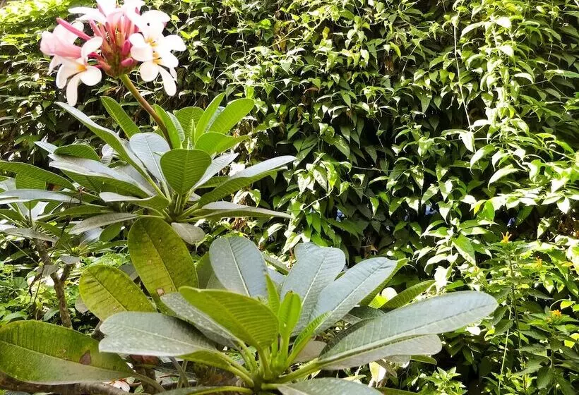 ホテル Baan Silom Soi 3