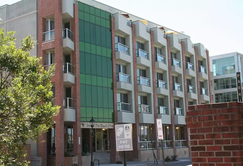 Hotelli Inn At The Black Olive