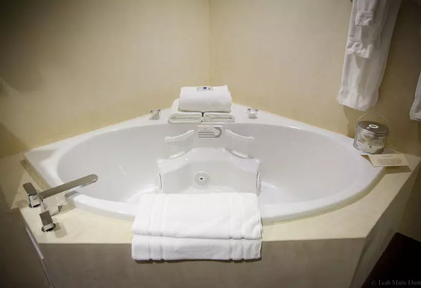 Hotelli Inn At The Black Olive