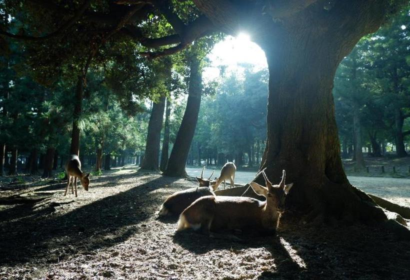 فندق Noborioji  Nara