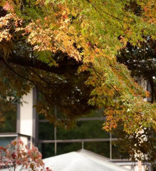 فندق Noborioji  Nara