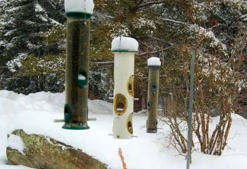 ホテル Swiss Inn & Restaurant