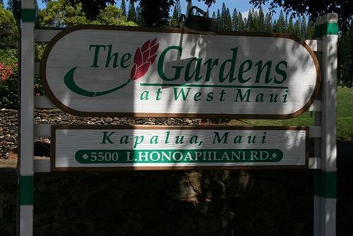 Szálloda Gardens At West Maui