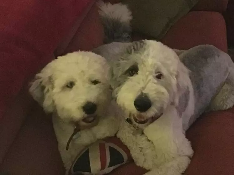 Hotel The Hunters Moon