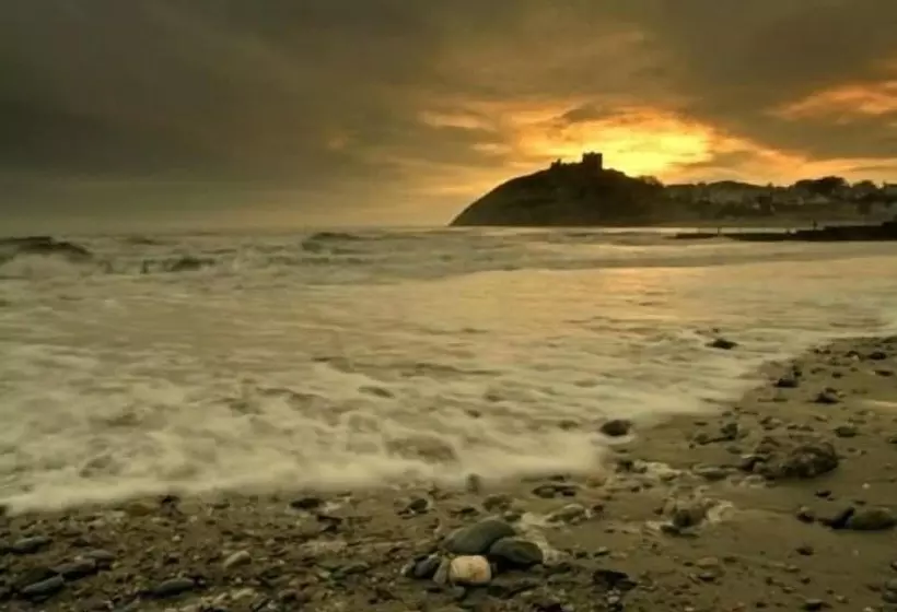 The Moelwyn Hotel & Restaurant