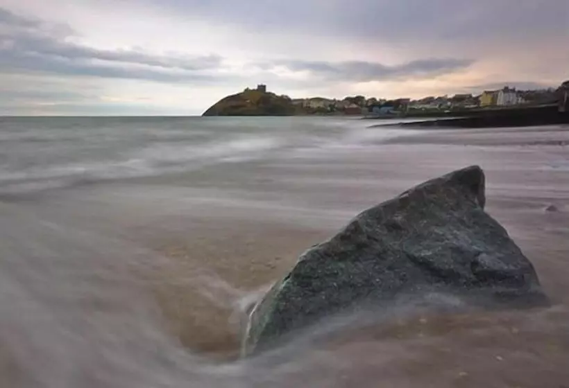 The Moelwyn Hotel & Restaurant