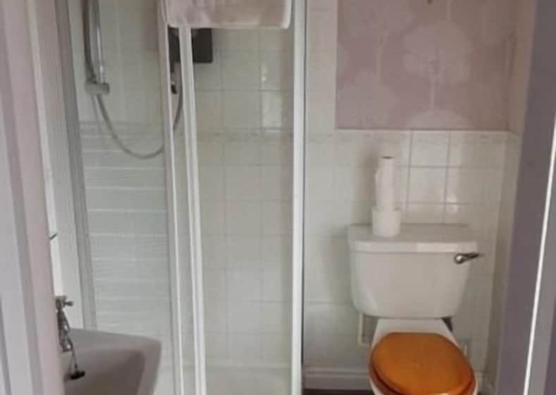 The Moelwyn Hotel & Restaurant