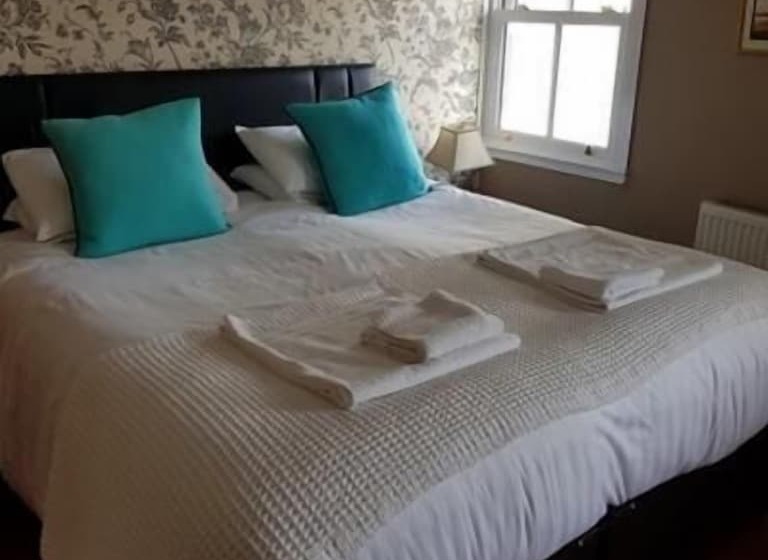 The Moelwyn Hotel & Restaurant