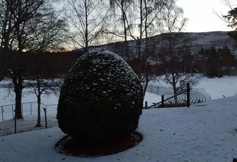 Pensione Moorfield Guest House