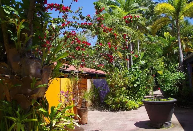 Pink Flamingo Resort