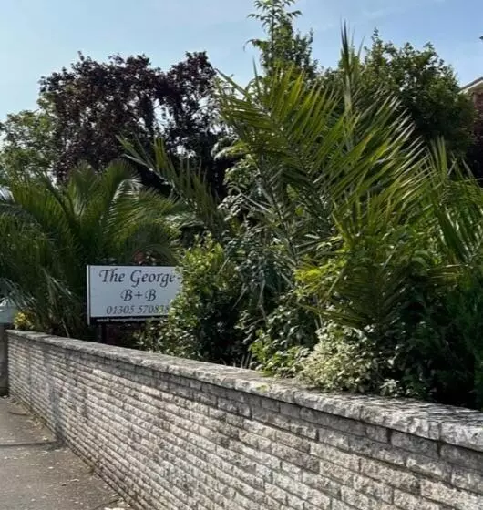 The George B&b