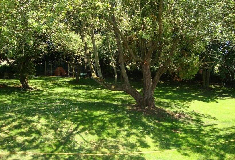 The White Horse View B&b