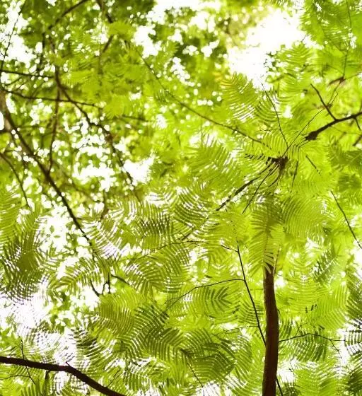 Retkeilymaja Lukinhas Pousada