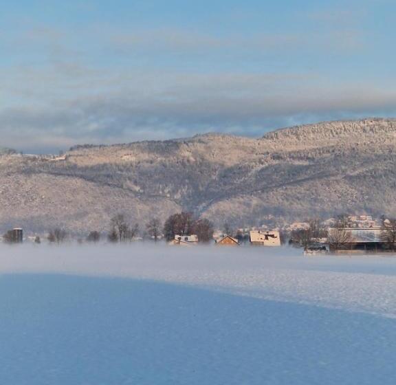 هاستل Villa Kunterbunt