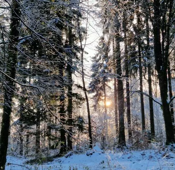 Retkeilymaja Villa Kunterbunt
