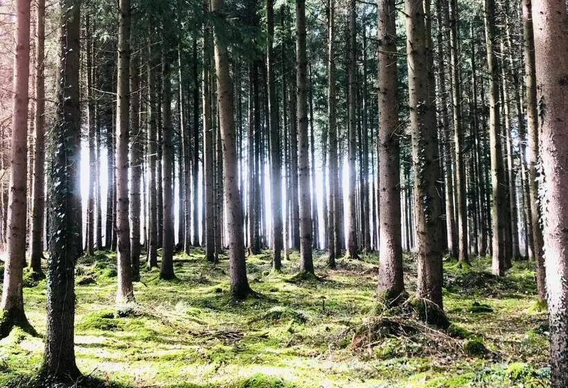 Retkeilymaja Villa Kunterbunt