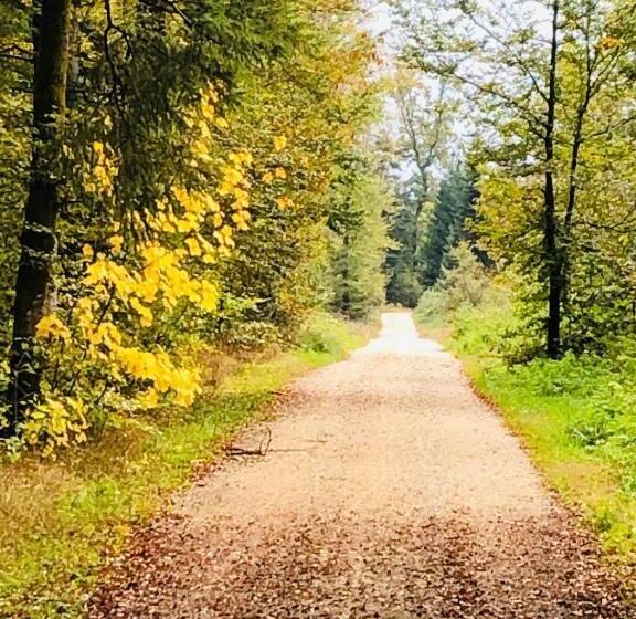 هاستل Villa Kunterbunt