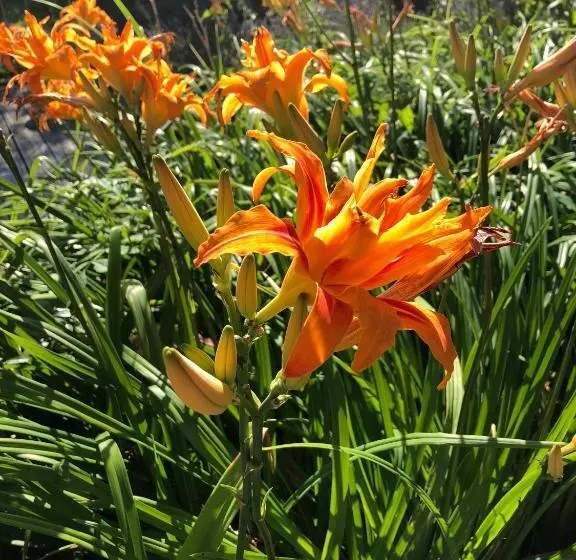 Retkeilymaja Villa Kunterbunt