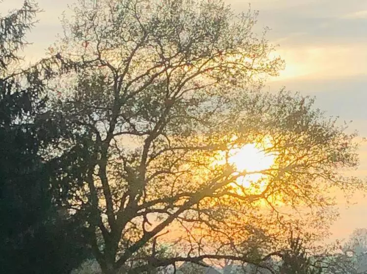 Retkeilymaja Villa Kunterbunt