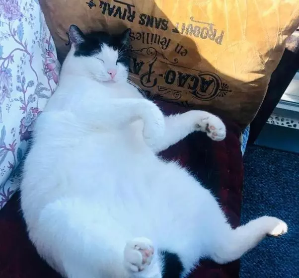 Retkeilymaja Villa Kunterbunt