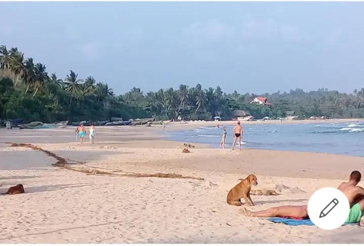 مبيت وإفطار House Colonial