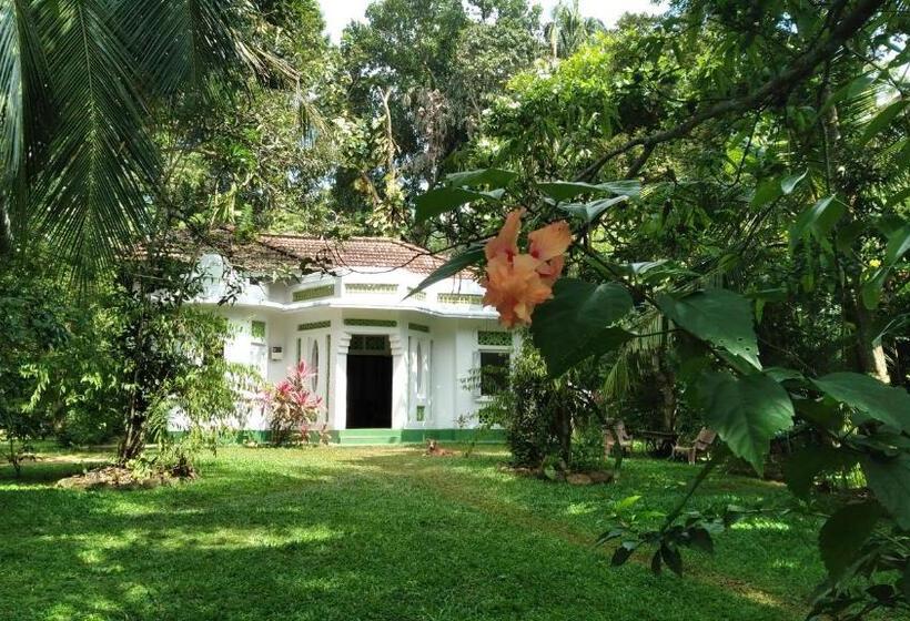 مبيت وإفطار House Colonial