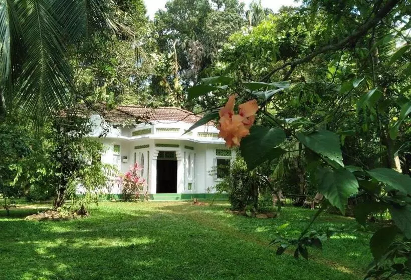 Aamiaismajoitus (B&B) House Colonial